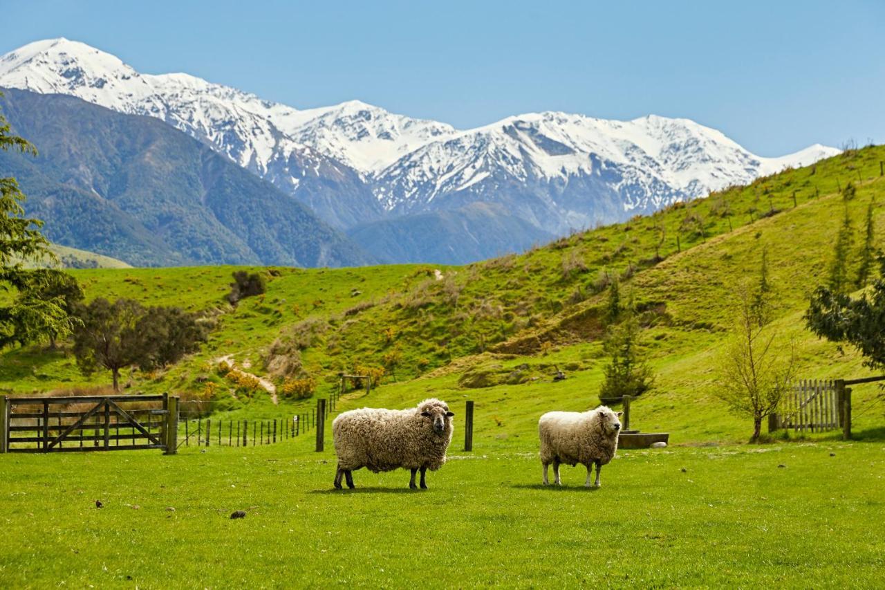Kaikoura, Cubby House Stay מראה חיצוני תמונה